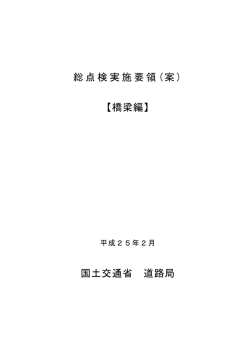 総点検実施要領 (案 ) 【橋梁編】 国土交通省 道路局