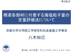 橋梁各部材に付着する海塩粒子量の 定量評価法について 八木知己