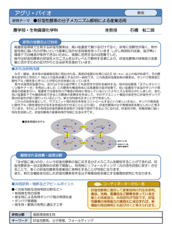 好塩性酵素の分子メカニズム解明による産業活用