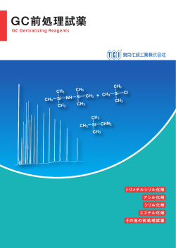 GC前処理試薬 ( PDF 3.7MB )