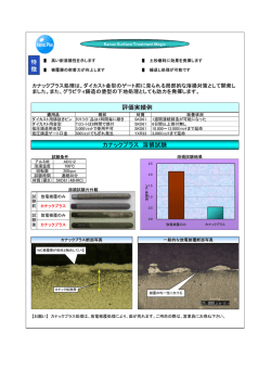 評価実績例 特 徴 カナックプラス 溶損試験