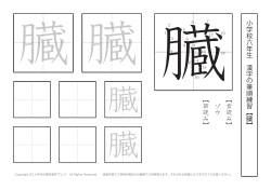 小学校 六 年生 漢字の筆順練習︻ 臓 ︼ ︻音読み︼ ゾウ ︻訓読み︼