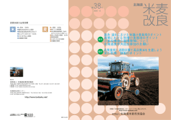 北海道米麦改良第38号