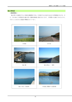 福江湾地区（PDF:950KB - 田原市