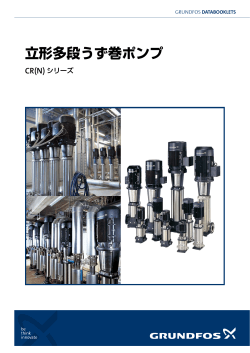 立形多段うず巻ポンプ - グルンドフォスポンプ
