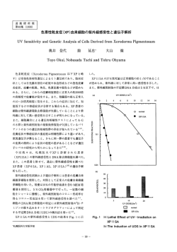 色素性乾皮症(XP)由来細胞の紫外線感受性と遺伝子解析