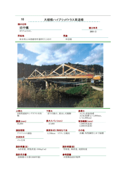 坊中橋 大規模ハイブリッドトラス車道橋 10