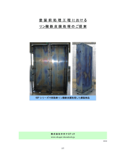 塗 装 前 処 理 工 程 における リン酸鉄皮膜処理のご提案 - 中外ケミテック