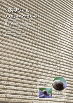カタツムリの 殻は汚れない