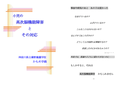 小児の高次脳機能障害とその対応 - 神奈川県立秦野養護学校