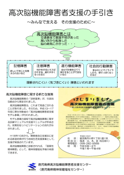 高次脳機能障害者支援の手引き - 鹿児島県