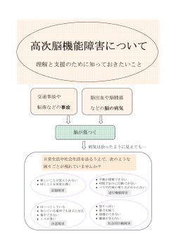 高次脳機能障がい（H25.11）.pdf(1MB) - 徳島県