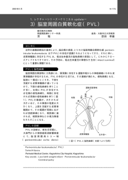 3）脳室周囲白質軟化症（PVL）