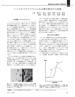 シンビオバクテリウムにみる微生物共生の深淵 - 日本生物工学会