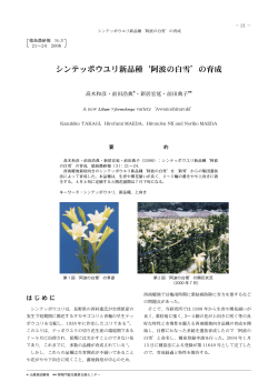 シンテッポウユリ新品種阿波の白雪の育成 - 徳島県