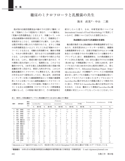 糠床のミクロフローラと乳酸菌の共生