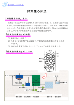 好気性ろ床法 - 日本下水道事業団