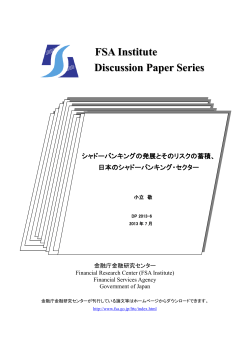 DP2013-6 （PDF:2008KB） - 金融庁