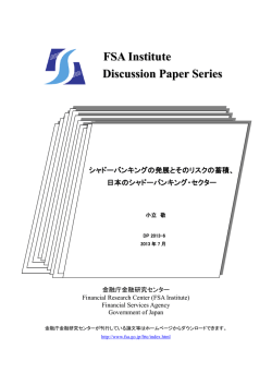 DP2013-6 （PDF:2008KB） - 金融庁