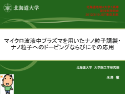 マイクロ波液中プラズマを用いたナノ粒子調製・ ナノ粒子 - 新技術説明会