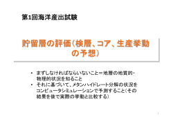 貯留層の評価（検層、コア、生産挙動 の予想） - メタンハイドレート資源