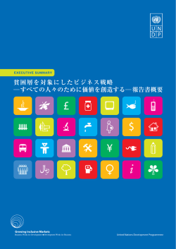 貧困層を対象にしたビジネス戦略－すべての人々のために価値を創造する