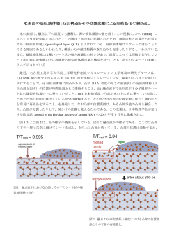 氷表面の疑似液体層：凸凹構造とその位置変動による再 - 日本物理学会