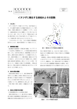 イヌツゲに発生する枝枯れとその防除 - 茨城県