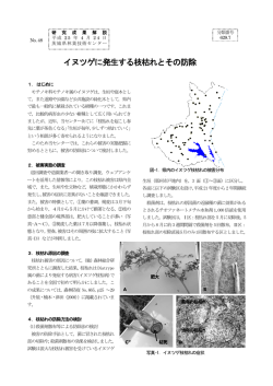イヌツゲに発生する枝枯れとその防除 - 茨城県