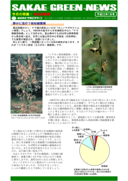 枝枯細菌病