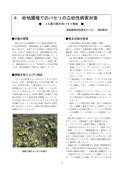 4 砂地圃場でのパセリの立枯性病害対策 - 香川県