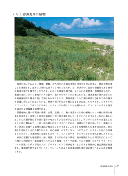 （5）砂浜海岸の植物 - 伊江村