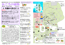 熱帯雨林温室 - 筑波実験植物園 - 国立科学博物館