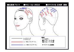 北関東ブロック サロン：Hair UNIQUE カラリスト名：日向野 真幾