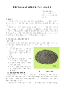 実証プラントによる石炭灰造粒砂（ゼットサンド）の開発 - 財団法人・石炭