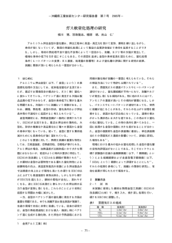 ガス軟窒化処理の研究（PDF：234KB）