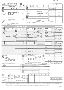 輸入(納税)申告書 - 税関