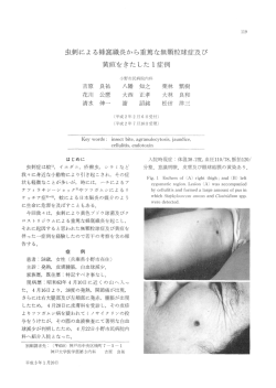 虫刺 による蜂窩織炎か ら重篤な無顆粒球症及び 黄疸をきた
