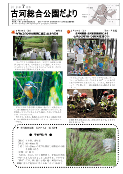 7月 - 古河市地域振興公社