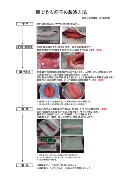 一腹で作る筋子の製造方法 （PDF：31.1KB）