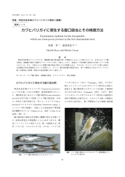 カワヒバリガイに寄生する腹口吸虫とその検査方法 - 豊田市矢作川研究所