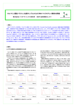 ホルマリン固定パラフィン包埋サンプルからの DNA マイクロアレイ解析の
