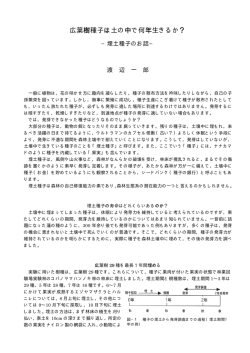 樹 は 中 年 ？ 広葉樹種子は土の中で何年生きるか？ - 林業試験場