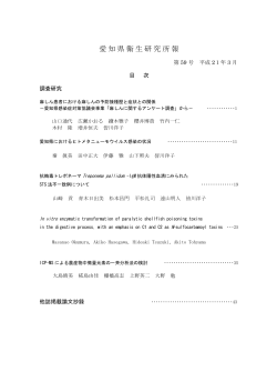 〔平成21年3月〕 （PDF 910KB） - 愛知県