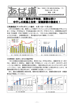草丈・葉色は平年並、茎数は多い 中干しの実施と生育・栄養診断の徹底