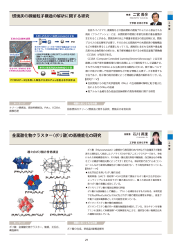 燃焼灰の微細粒子構造の解析に関する研究