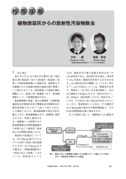 利 用 技 術 植物焼却灰からの放射性汚染物除去