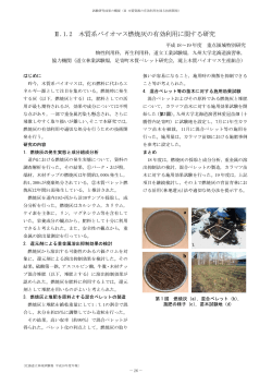 Ⅱ.1.2 木質系バイオマス燃焼灰の有効利用に関する研究 - 林産試験場