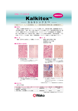 脱脂もできる新規脱灰液 カルキトックス(415KB)