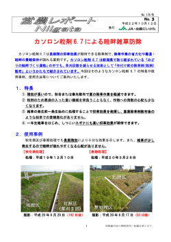 カソロン粒剤 6.7 による畦畔雑草防除